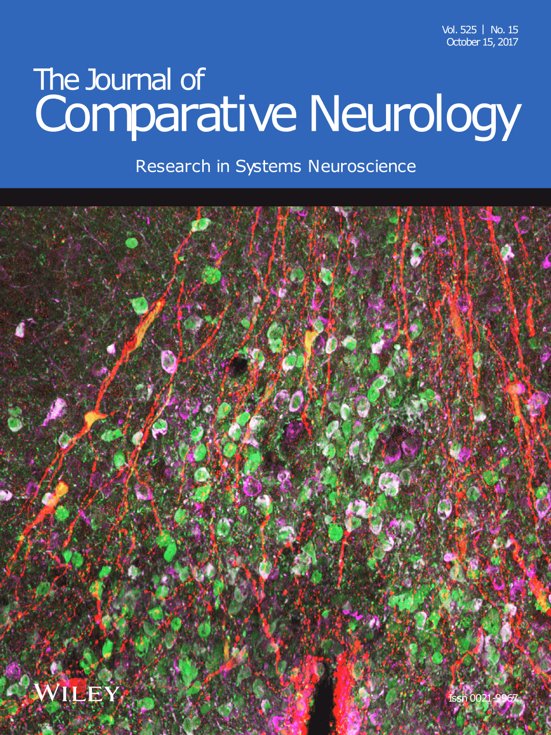 Journal of comparative neurology