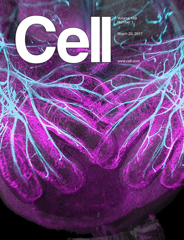 cover Cell 2017